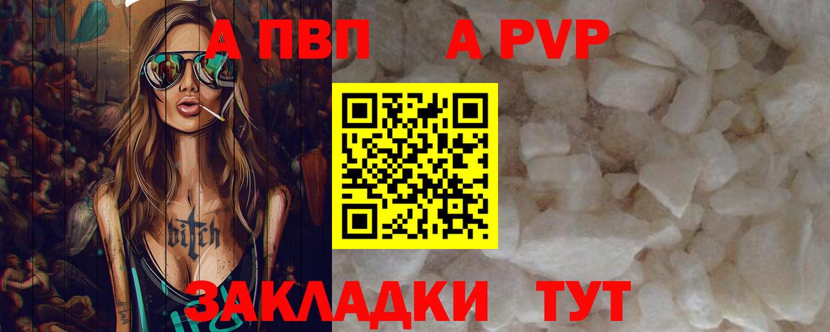 A-PVP СК Курчалой