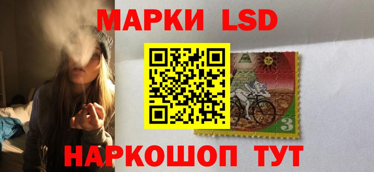ЛСД экстази кислота  Вход с VPN  ЛСД экстази  Курчалой 