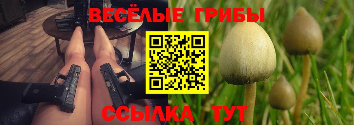 Курчалой  Галлюциногенные грибы прущие грибы  Вход с VPN  Галлюциногенные грибы прущие грибы 