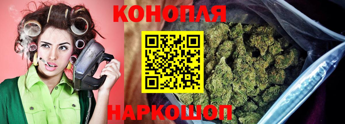 Бошки Шишки OG Kush  Каннабис AK-47  Курчалой  Вход с VPN 